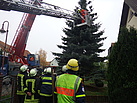 der zweite Baum kam aus einer Wohnhaussiedlung im Ortsteil Kliestow